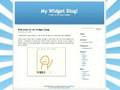 What are Web Widgets? (1/5)