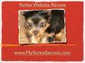Housebreaking Yorkshire Terriers -- All About Crate Training