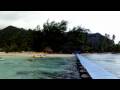 Les Tipaniers - Moorea - Polynésie française