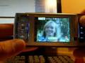 Cellulare N95 TV Radio Dual Sim Contemporanee Italiano