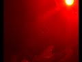 november 30, 2005 - the wuds performing 