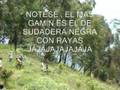 videos de gamines de caldas