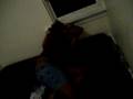 TYISHA N TRAVELLE FIGHTIN!