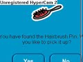 the haribrush pin