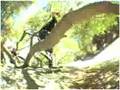Grill Session with Skate Pro Patrick Melcher
