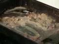 How To Make Gravy from Chicken or Turkey Fat or Drippings