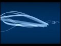 Video de Peugeot 308 CC 1129