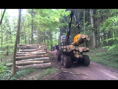 Bokgallring i Danmark med Malwa 460 4