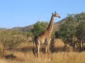 South Africa