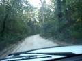 Fraser Island 4WD 2