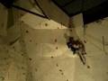 Campionat d'escalada