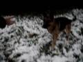 videos de Antoine et berry .mpg