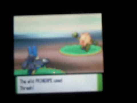 Primeape