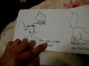 Sox The Fox (3)