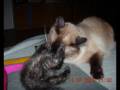 Gery Baby.wmv