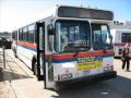 MTA Long Island Bus Orion 05.501 Diesel #643