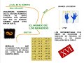 El mundo de los números