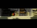 dwarf parrot taking of dwarf parrot taking of
