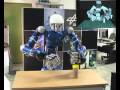 Rollin' Justin Robot