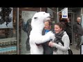 Polar Bear Attack in Iceland