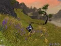 ギルドウォーズ動画