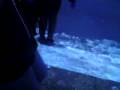 videos de road ice moon walking
