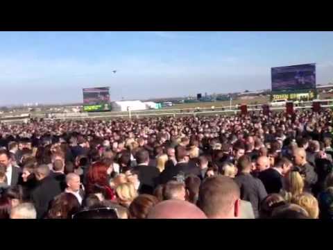 grand national betting