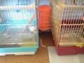 videos de 081227_0818~0001.m4v