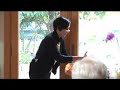 Fast REAL Food for Paupers: broth demo  Part I