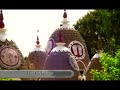 Biografía Srila B.A. Paramadvaiti Swami