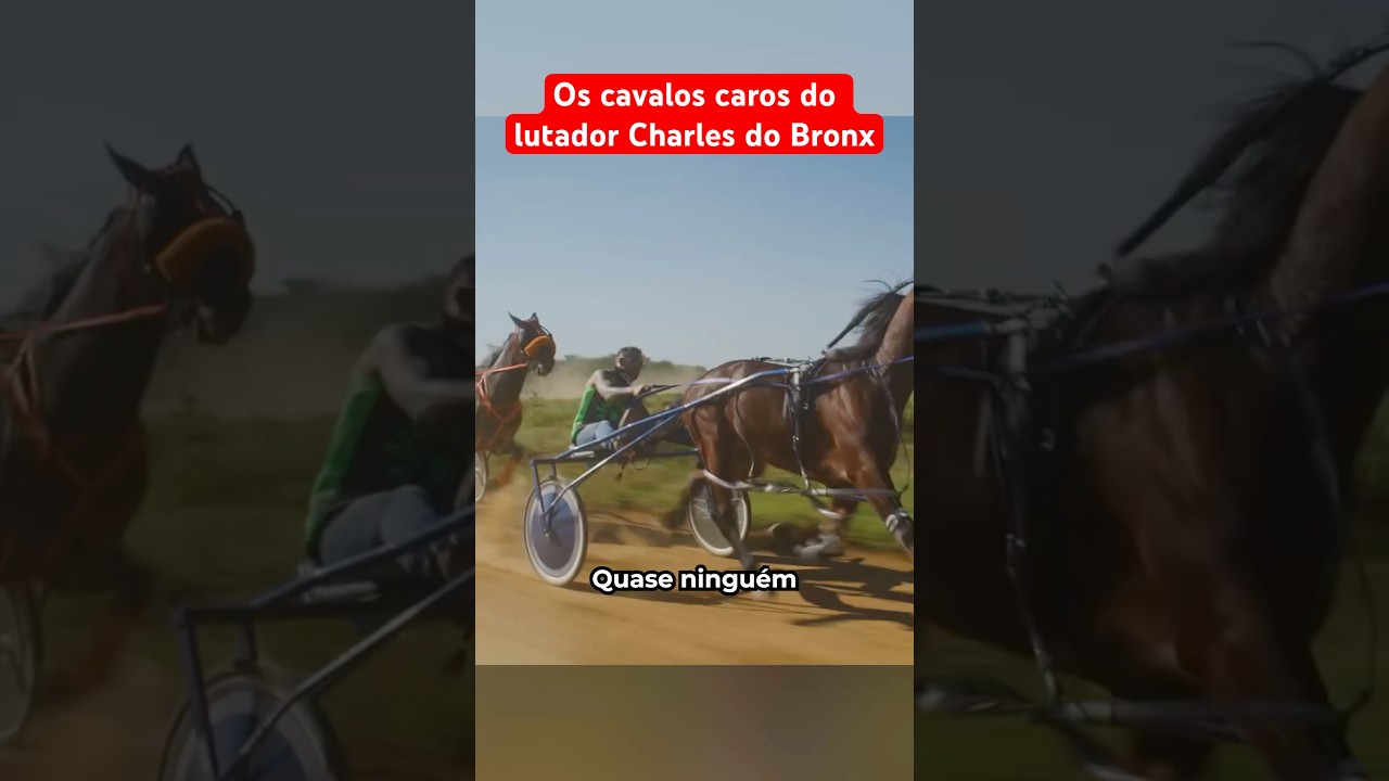 Os Cavalos Caros Do Lutador Charles Do Bronx