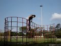 thais parkour rio