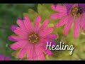 Harmonies for Health - The Heart Drone by Dr. Harold Moses