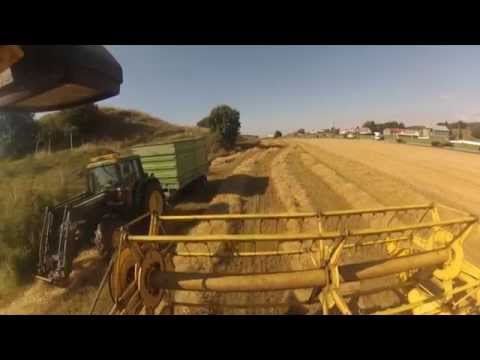 New Holland Clayson 1530 Harvesting