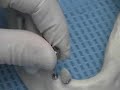 Lab Model Video
