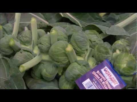 how to harvest brussel sprouts