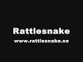 Rattlesnake