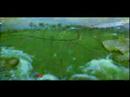 Sri Lanka, a Land like no other