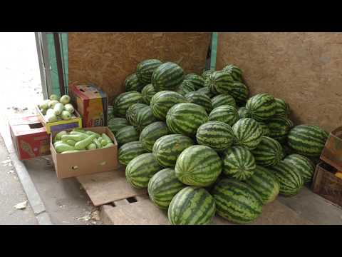 Просмотр видео