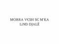 Shkelzen Jetishi - Ishe E Vogel .. & Morra Vesh ..