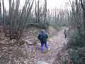 Into the wild...sui Colli Euganei!