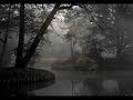 Video screenshot