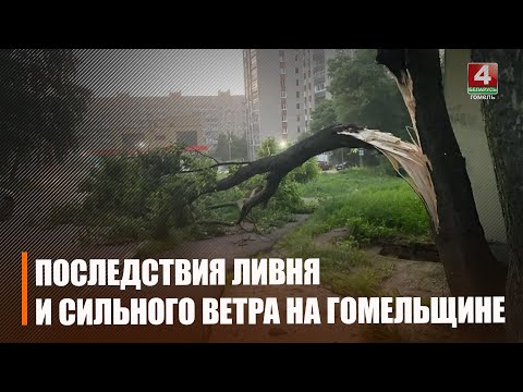 Сильный удар стихии пришелся на Гомельскую область видео