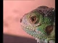 ktv-kudai.html