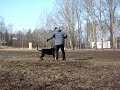Kääk......mitkä voimat kun narupallo menee rikki Kääk......mitkä voimat kun narupallo menee rikki