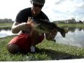 Biggest bass of the lake slain by my ultra light set up