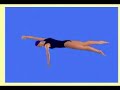 free style Animation