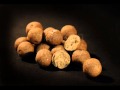 black label baits italia
