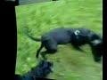 Unsere Layla Unsere Layla