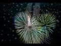 Celine Dion - My heart Will Go On (Live In Las Vegas)